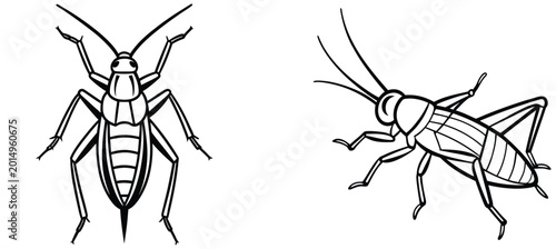 Bild auf Leinwand Silhouette of a majestic stag vector beetle with impressive antlers on white