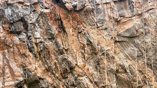 Detailed Natural Stone Background with Organic Rock Pattern