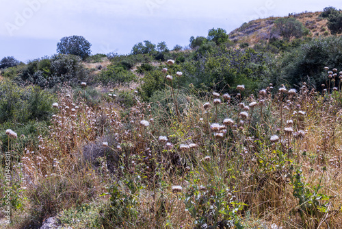 A walk through Beit Guvrin National Park