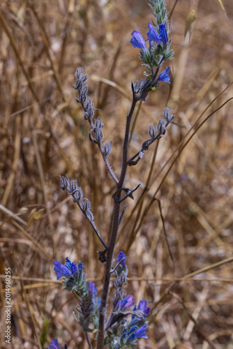 A walk through Beit Guvrin National Park