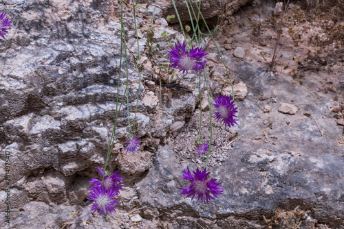 A walk through Beit Guvrin National Park