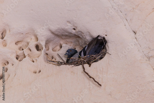 A walk through Beit Guvrin National Park