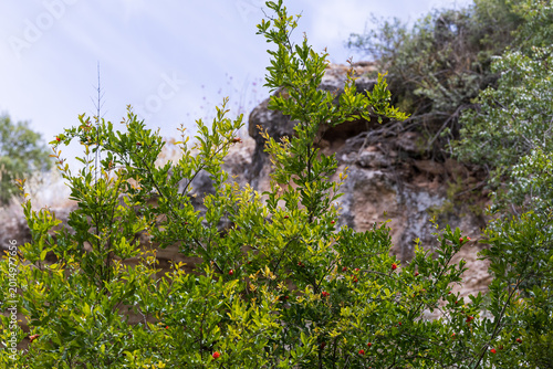 A walk through Beit Guvrin National Park