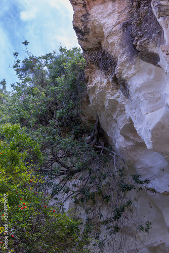 A walk through Beit Guvrin National Park