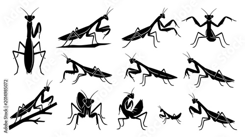 Schilderij op canvas Praying mantis silhouette collection black vector insect animal icons