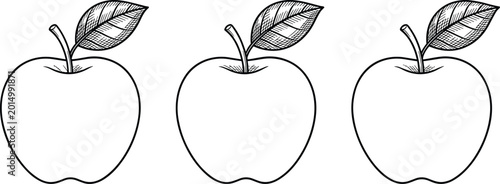 Konstfotografi Apple flat vector illustration featuring black and white line drawings, cross‑ha