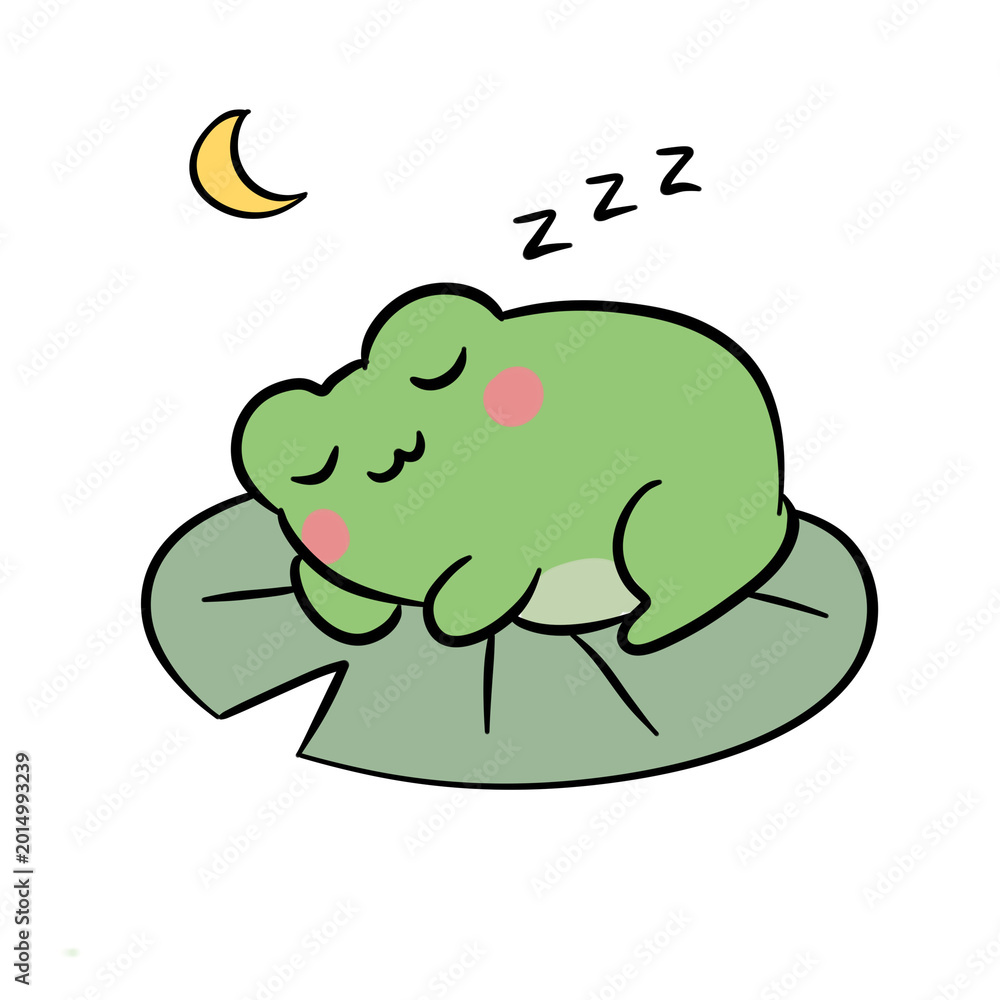 Fototapeta premium sleepy frog