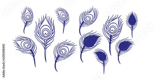 feathers peacock hand drawn vector ink traditional oriental asian Indian design isolated