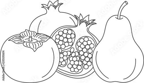 Line drawing of pomegranate and pear fruit