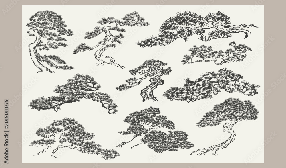 Fototapeta premium set of vector illustration of bonsai tree leaves branch card design with Ink wash painting in traditional style.