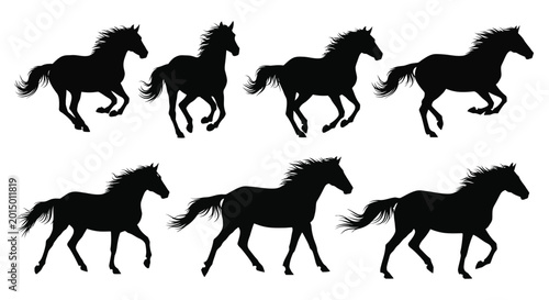 Bild auf Leinwand Collection of running horse silhouettes on a white background