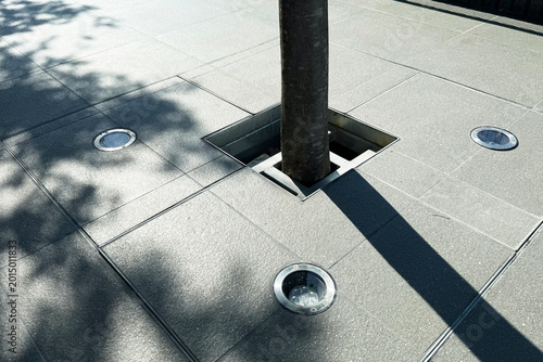 Inground uplight for landscape tree lighting design.