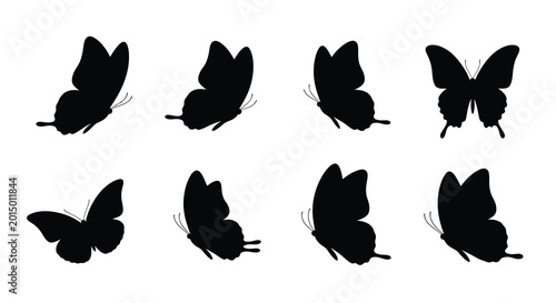 Foto Collection of butterfly silhouettes in various poses black silhouette