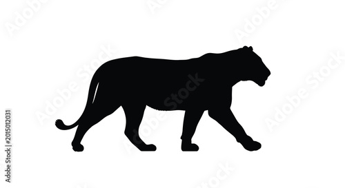 Photos Walking tiger silhouette on a white background