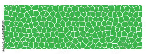 Bild auf Leinwand Abstract Green Voronoi Geometric Pattern, Organic Cell Structure Texture and Min