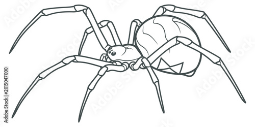 Photos Black widow spider illustration, line art eps 10