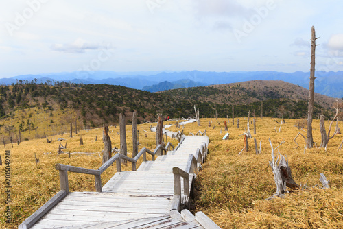 大台ヶ原の木階段