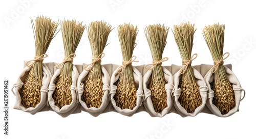 Six bundles of dried wheat stalks tied with twine sit in cloth bags.