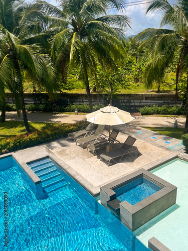 Panoramic view of a resort pool with crystal-clear blue water, framed by tall palm trees and white lounge chairs under sun umbrellas. Lush hills and manicured grounds in background.