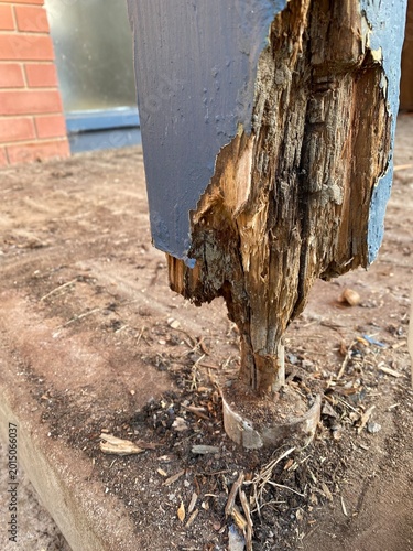 Rotted wood deck posts decayed timber caused by fungi thriving in damp conditions, represent a significant structural risk, house renovations project.