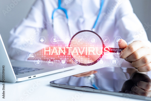 Health professional examines hantavirus using a magnifying glass over a laptop and tablet in a clinical setting