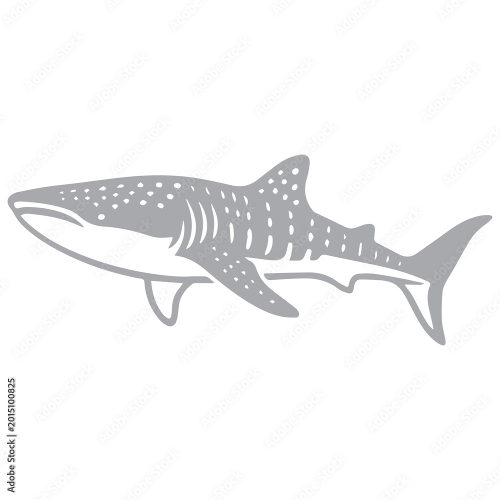 Fototapeta premium Ocean's Gentle Giant Shark