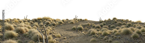 Fotografie Dry desert terrain with wild grass isolated on transparent background for environment design asset