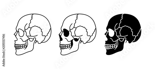 Tableau sur toile Human Skull Vector Icons, Black and White, Medical Anatomy, Graphic Elements