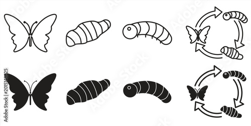 Butterfly life cycle stages icon, metamorphosis from caterpillar to adult butterfly, isolated on white background, vector illustration.

