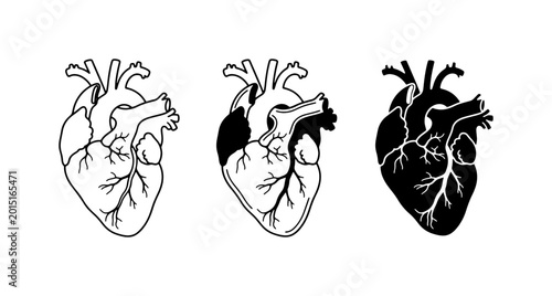 Anatomical Heart Vector Icons, Medical Symbol Set, Cardiology Illustration, Black and White Health Graphics