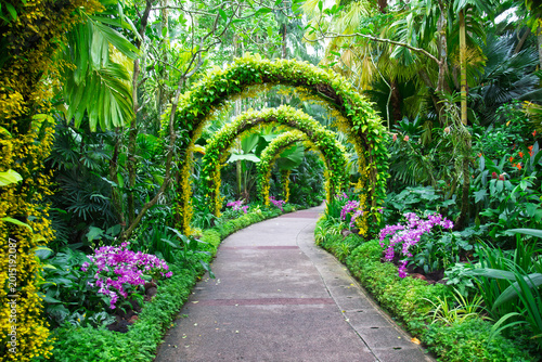 Summer landscape with garden pathway decorated a picturesque flower arches in the National Orchid Garden in Singapore Botanic Gardens