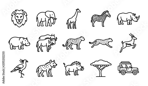 Photography African Safari Animals Vector Icons Set, Wildlife Collection, Nature Elements, T