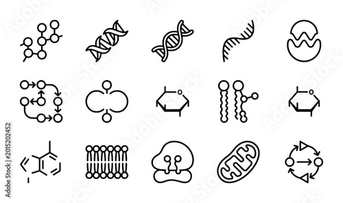Bild auf Leinwand Biochemistry Icons Set, Molecular Biology Science Graphics, DNA and Cell Structu