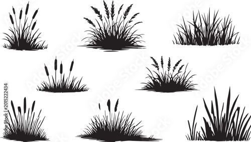Photos Black grass silhouette vector set, wild meadow plants and cattail reed illustrat