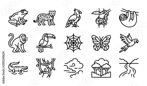 Photography Amazon Rainforest Icons: Wildlife, Flora, and Landscape Vector Set for Nature Gr
