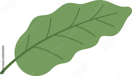 열대 나뭇잎