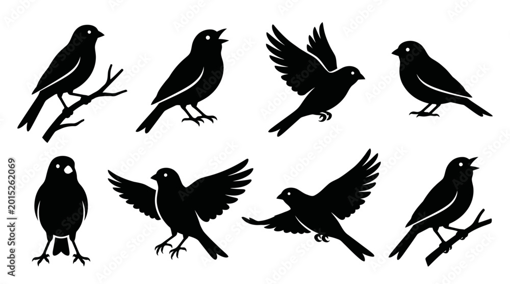 Fototapeta premium Black Bird Silhouettes Collection Flying and Perching Icons