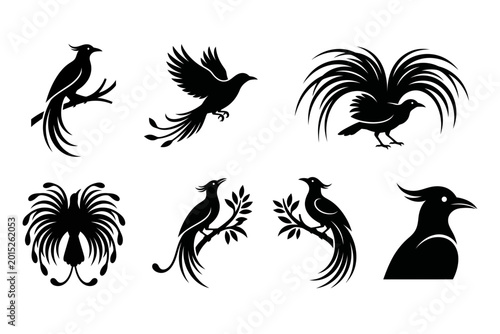 Canvas-taulu Bird of paradise silhouette collection in various artistic poses