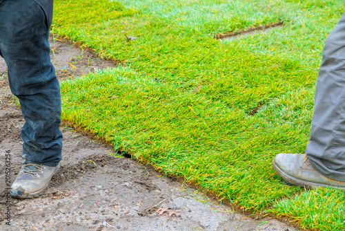 Workers lay down sod on lawn in residential area in spring season