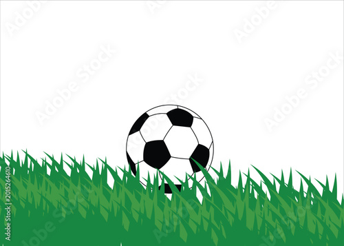 A black and white soccer ball sitting on green grass isolated on white background