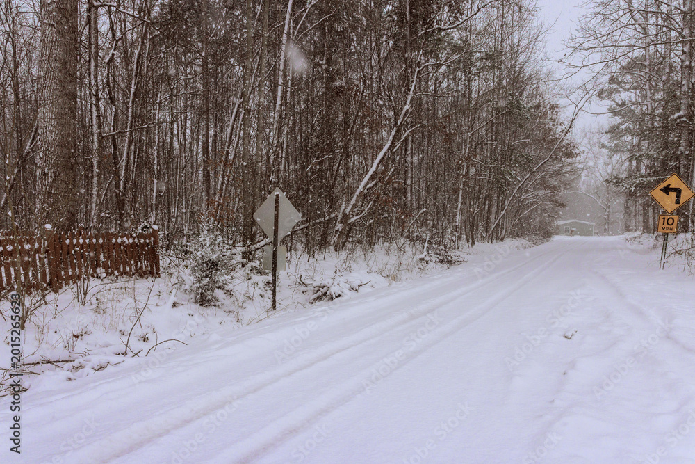Fototapeta premium Snow covers road trees in forest during winter storm in rural area at midday