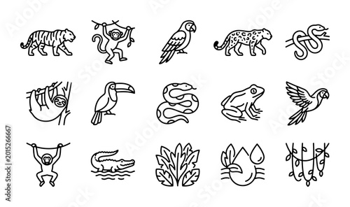 Photography Jungle Animals Vector Icons Set: Tropical Wildlife, Exotic Birds, Reptiles, Mamm