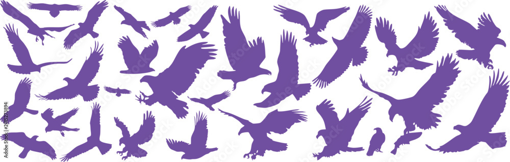 Obraz premium Light Purple Eagle Collection, Flying Bird Wings Silhouette Vector Set Transparent Background