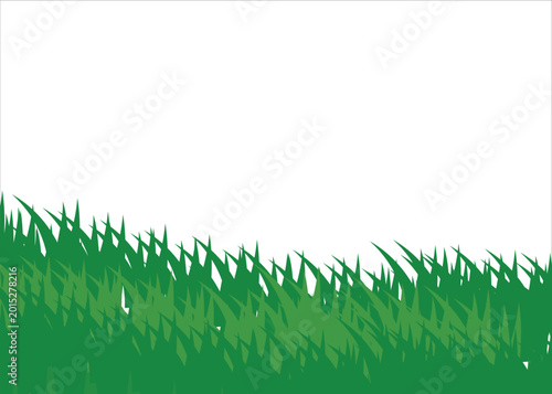 Green grass blades on white background for design elements isolated on white background