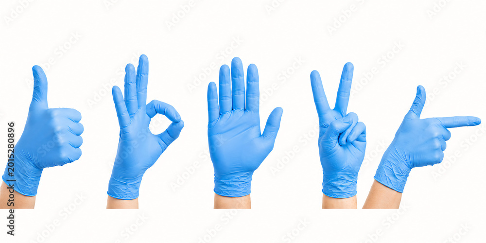 Fototapeta premium Hands wearing disposable blue nitrile protective examination gloves.