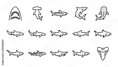 Photography Shark Vector Icons Set, Marine Life Collection, Ocean Predators Graphics, Underw