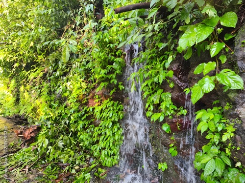 Принти на полотні Waterfall flowing over vibrant green rocks, ideal for nature, landscape, travel, and outdoor adventure concepts