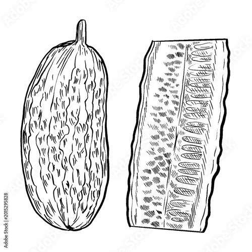 Foto Black and white line art vector of a whole cucumber with bumpy skin and a cross section slice with seeds