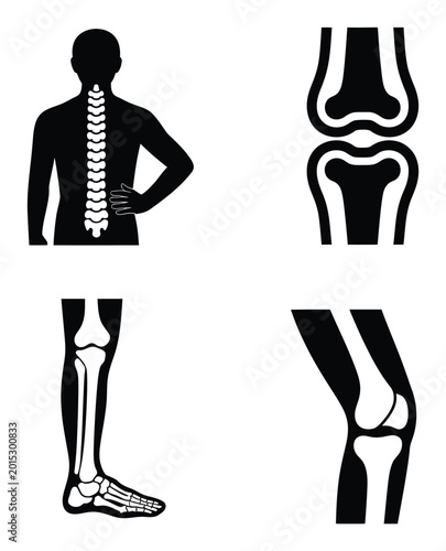 Human Body Skeleton Vector Illustration