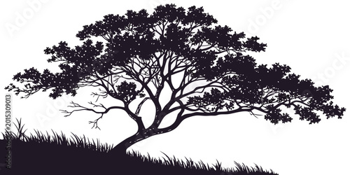 Foto Isolated silhouette of a large sprawling tree on a grassy hillock vector graphic